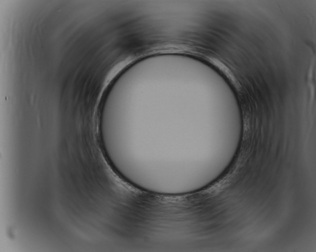 X0000094921466200711291011