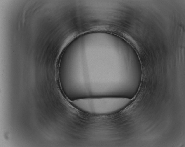 X0000094921467200711291011