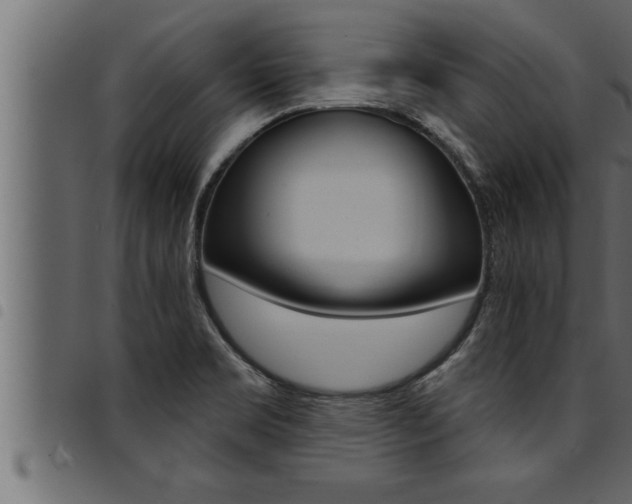 X0000094921469200711291011