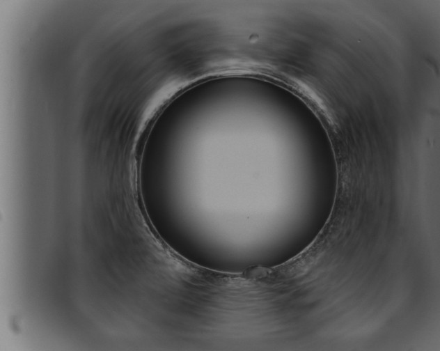 X0000094921472200711291011