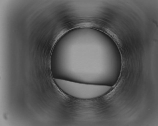 X0000094921473200711291011