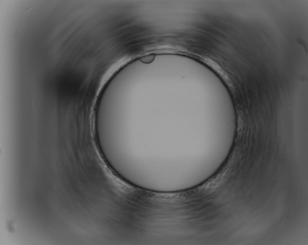 X0000094921474200711291011