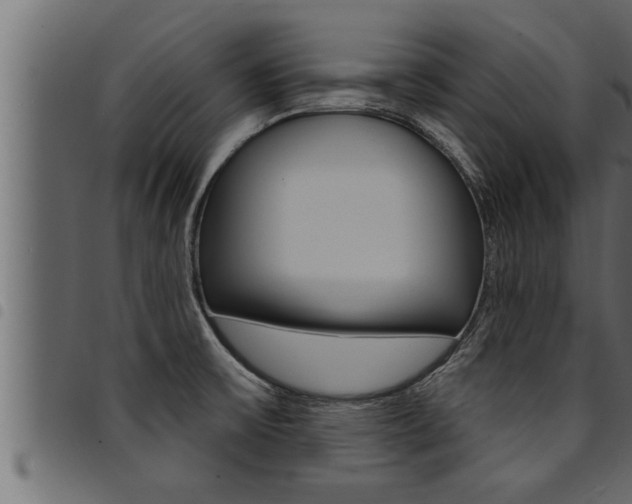 X0000094921475200711291011