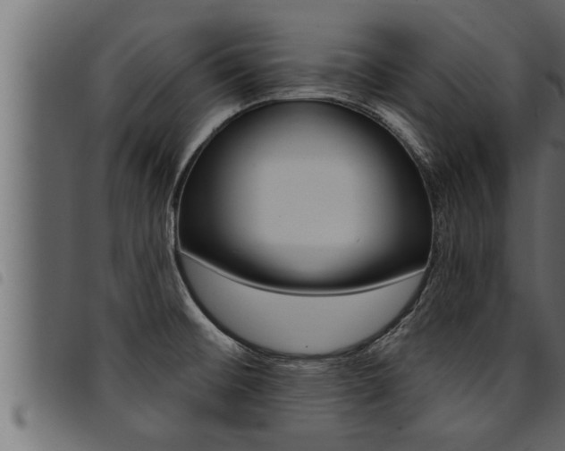 X0000094921476200711291011