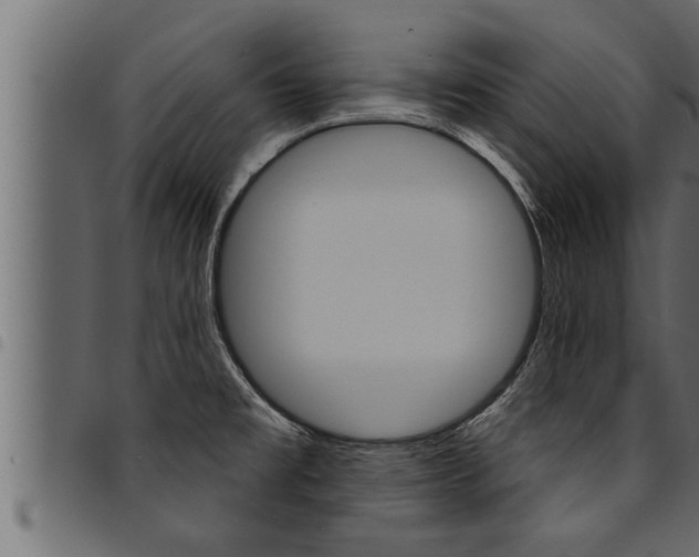 X0000094921477200711291011
