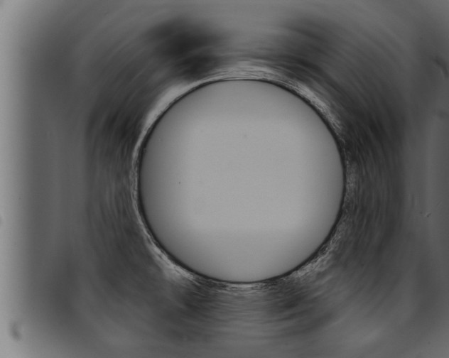 X0000094921478200711291011
