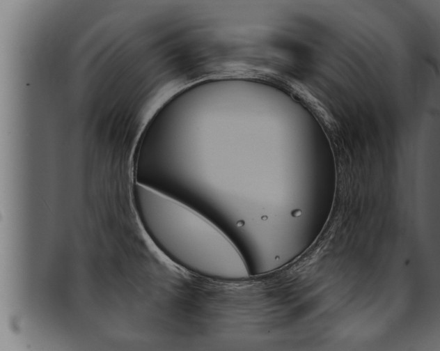 X0000094921479200711291011