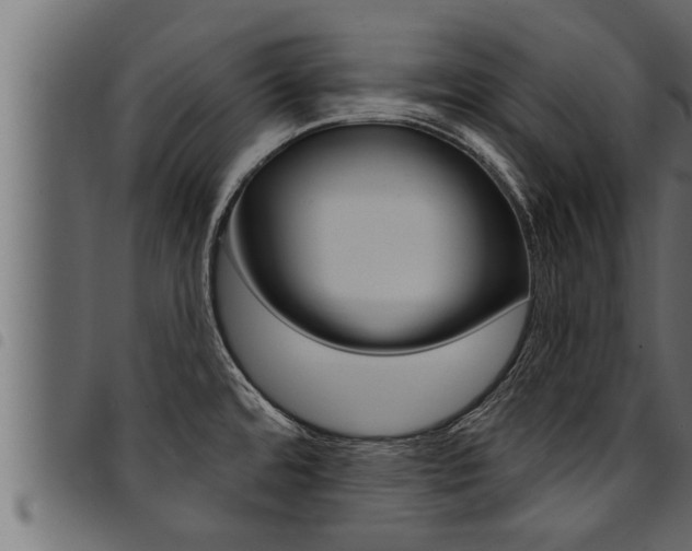 X0000094921480200711291011