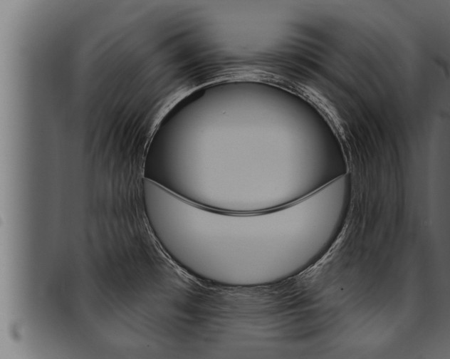 X0000094921481200711291011