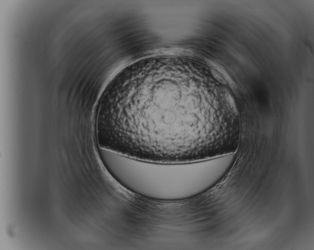 X0000094921483200711291011