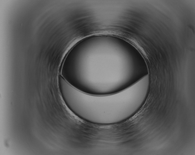 X0000094921484200711291011