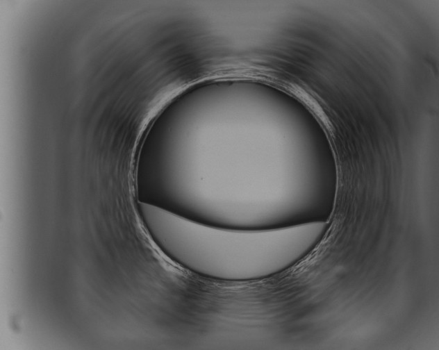 X0000094921485200711291011