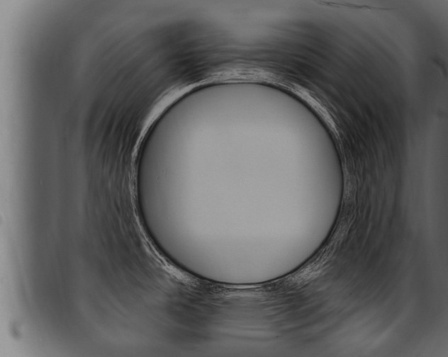 X0000094921486200711291011