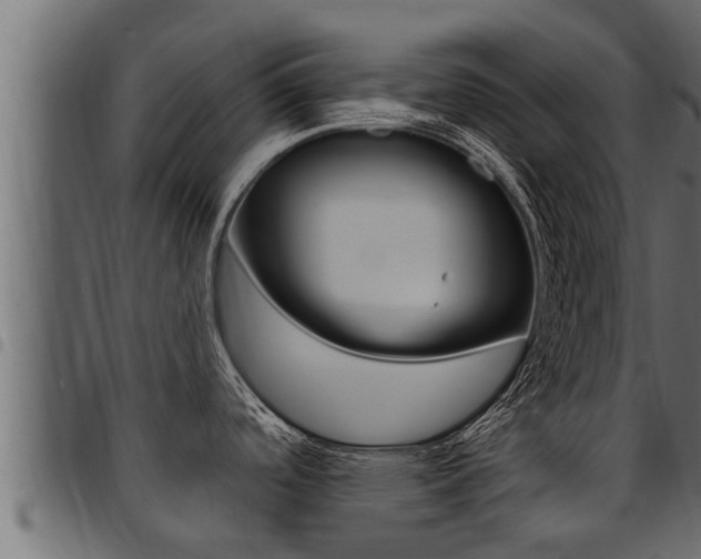 X0000094921488200711291011