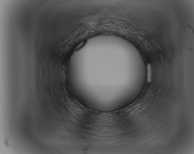X0000094921491200711291010