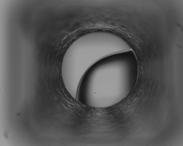 X0000094921493200711291010