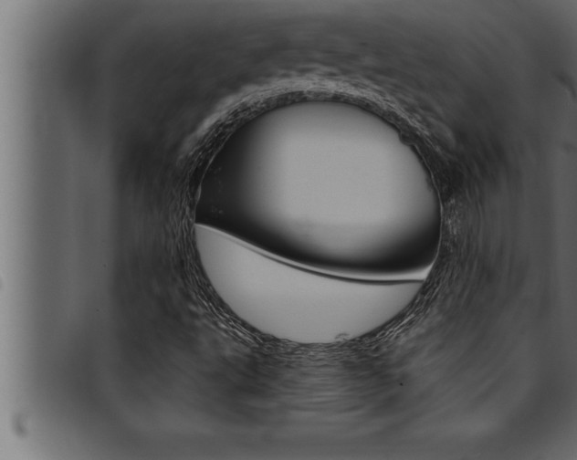 X0000094921495200711291010