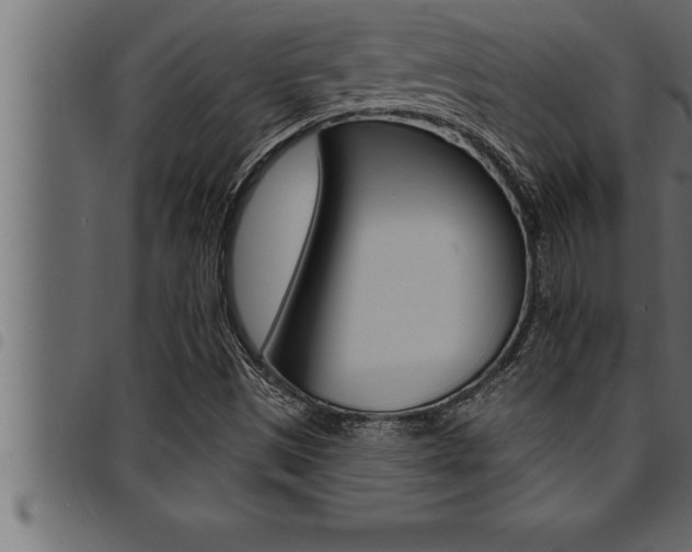 X0000094921497200711291010