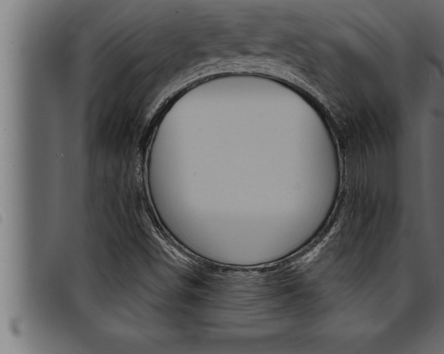 X0000094921498200711291010