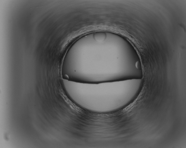 X0000094921499200711291010