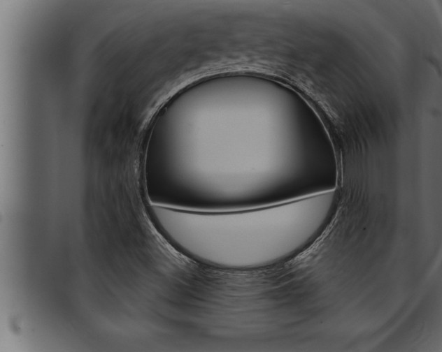 X0000094921500200711291010