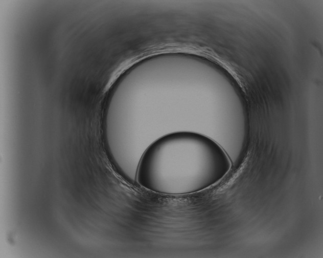 X0000094921501200711291010