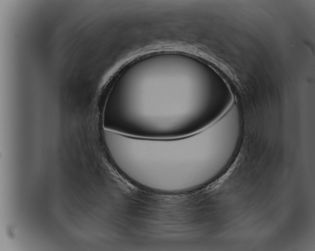 X0000094921502200711291010