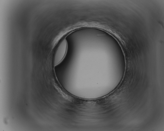 X0000094921503200711291010