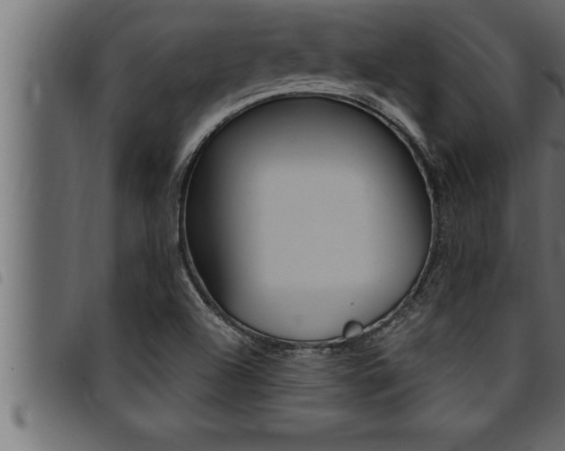 X0000094921504200711291010