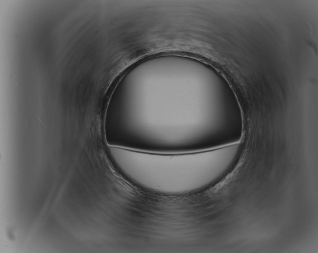 X0000094921505200711291010