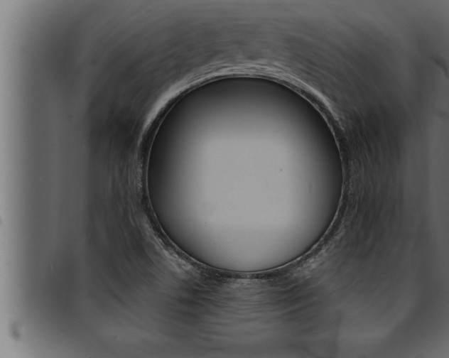 X0000094921506200711291011