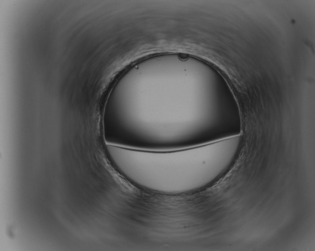 X0000094921507200711291011
