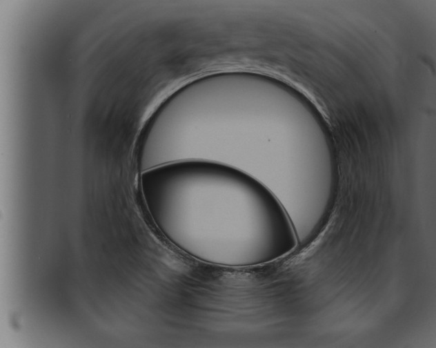 X0000094921509200711291011