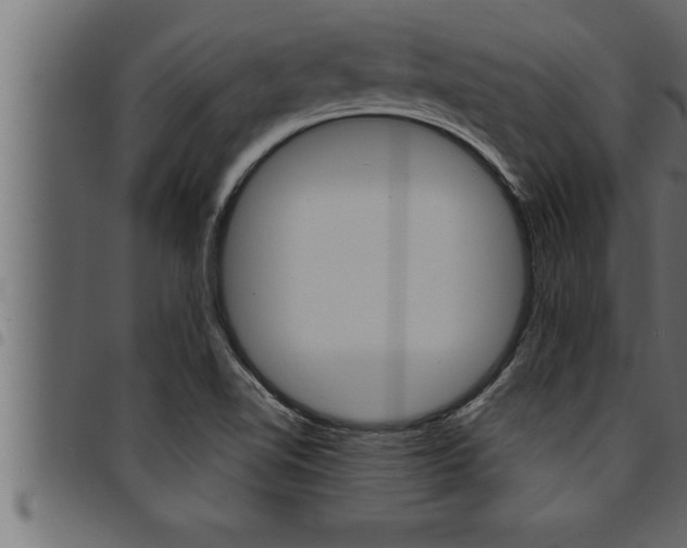 X0000094921510200711291011