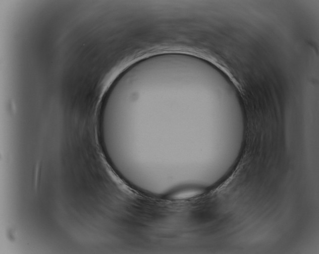 X0000094921511200711291011