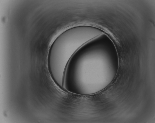 X0000094921512200711291011