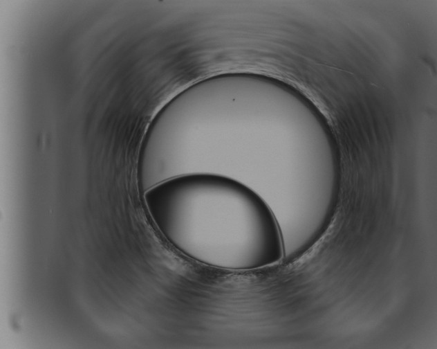 X0000094921513200711291011