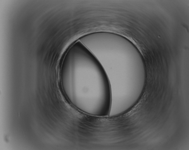 X0000094921515200711291011