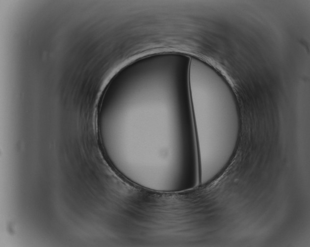 X0000094921516200711291011