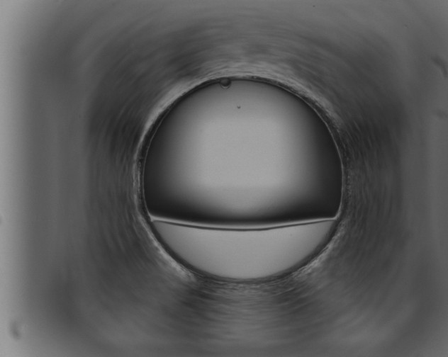 X0000094921517200711291011