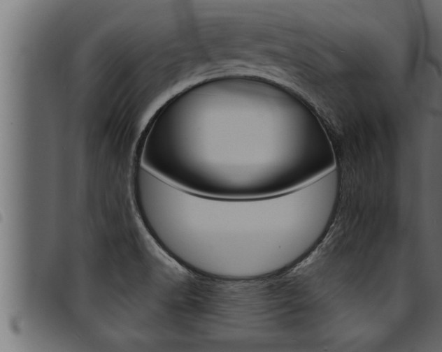 X0000094921518200711291011