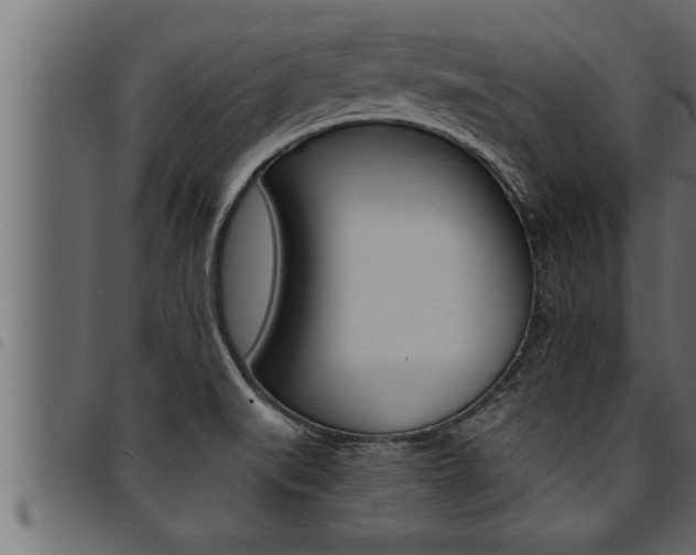 X0000094921519200711291011