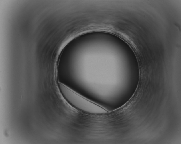 X0000094921520200711291011