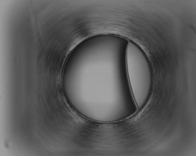 X0000094921521200711291011