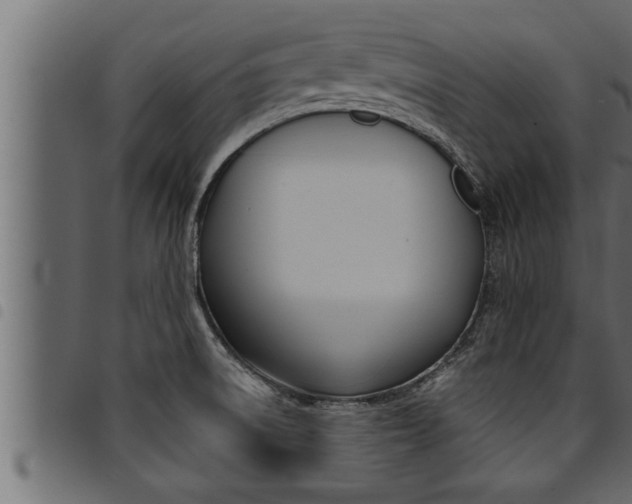 X0000094921522200711291011