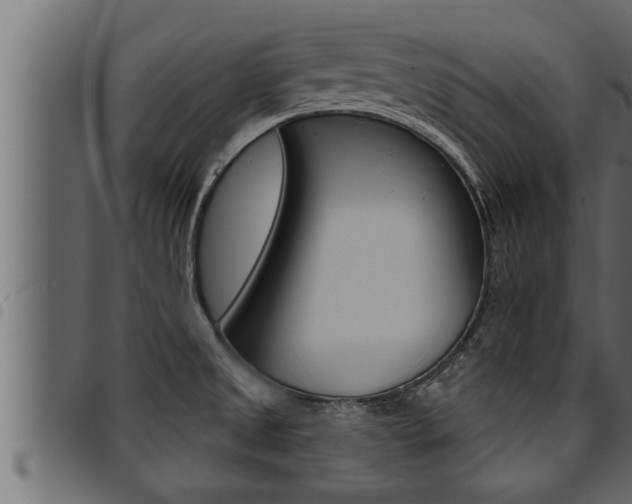 X0000094921525200711291011