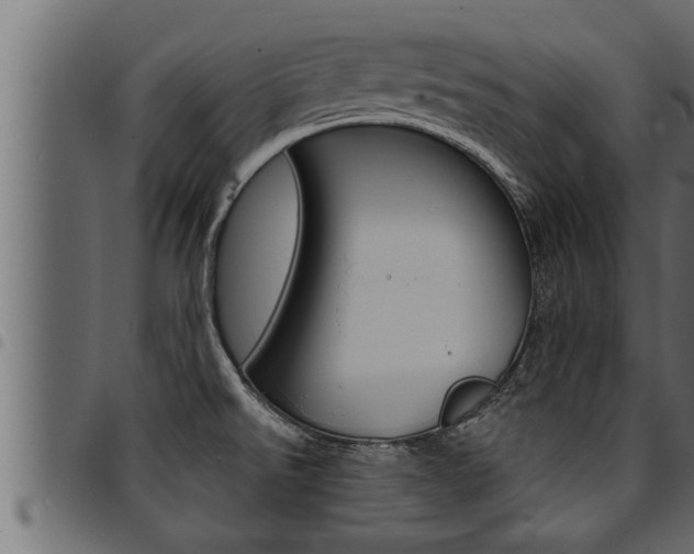 X0000094921526200711291011