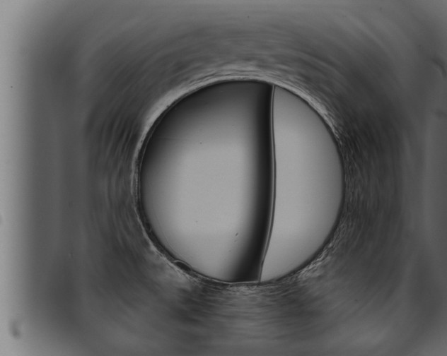 X0000094921527200711291011
