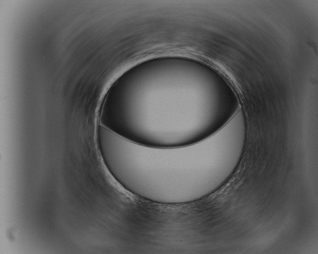 X0000094921528200711291011