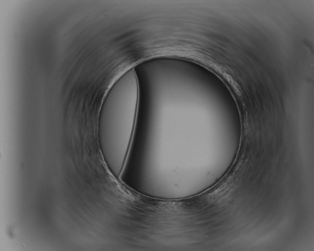 X0000094921529200711291011